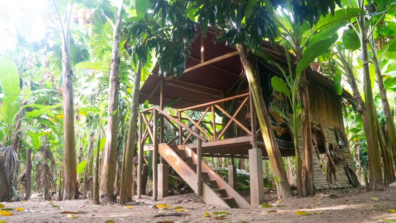 La Playita Vandrehjem Guachaca Eksteriør billede