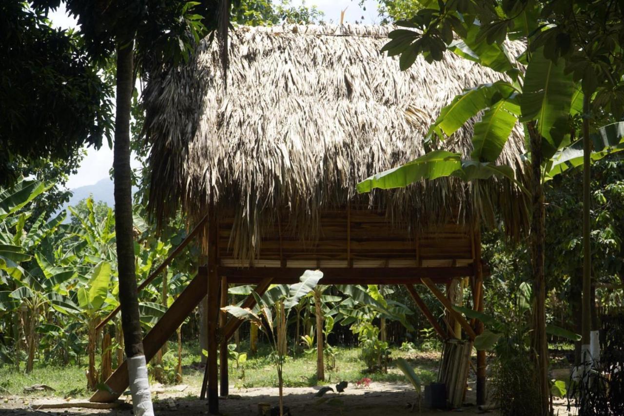 La Playita Vandrehjem Guachaca Eksteriør billede