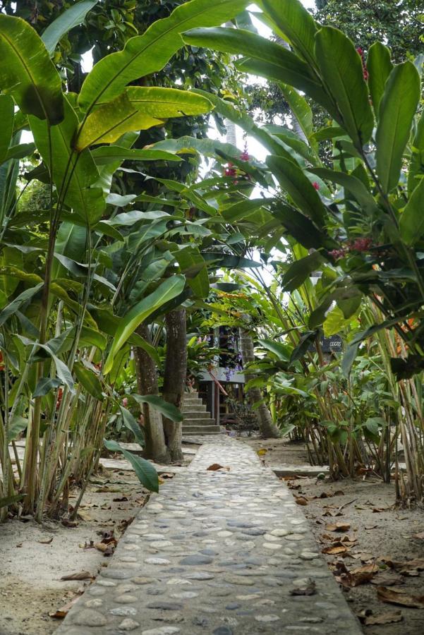 La Playita Vandrehjem Guachaca Eksteriør billede
