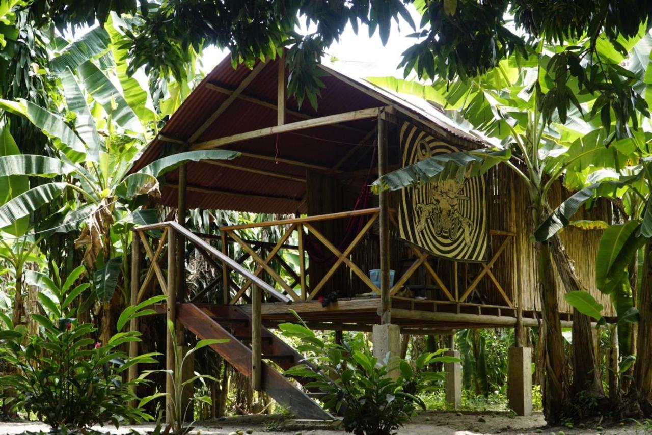 La Playita Vandrehjem Guachaca Eksteriør billede