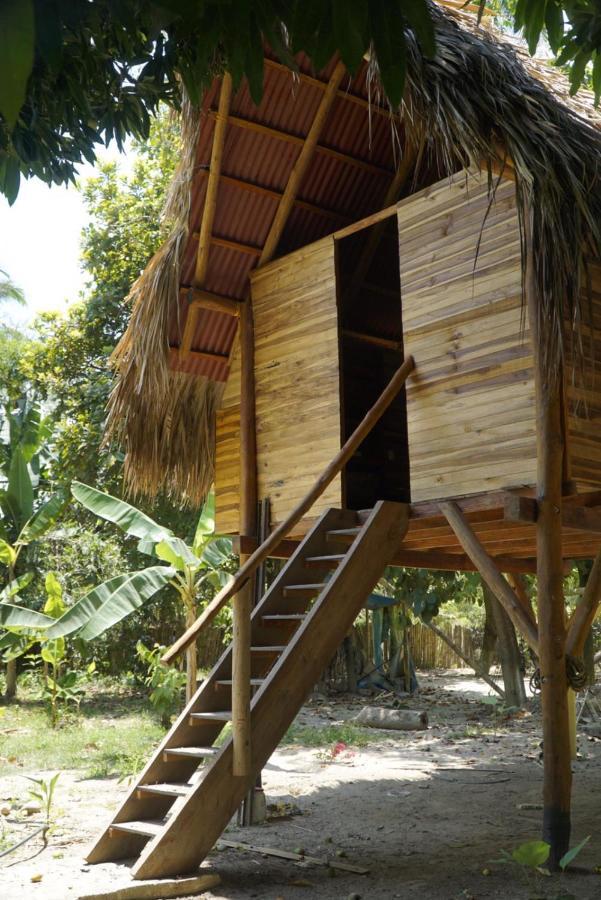 La Playita Vandrehjem Guachaca Eksteriør billede
