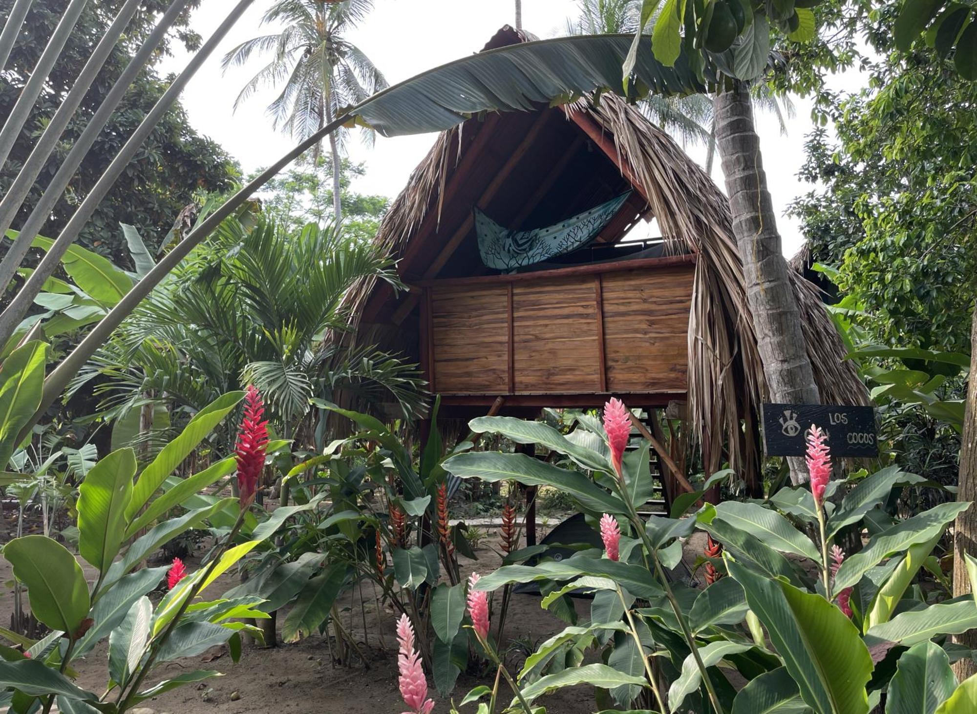 La Playita Vandrehjem Guachaca Eksteriør billede