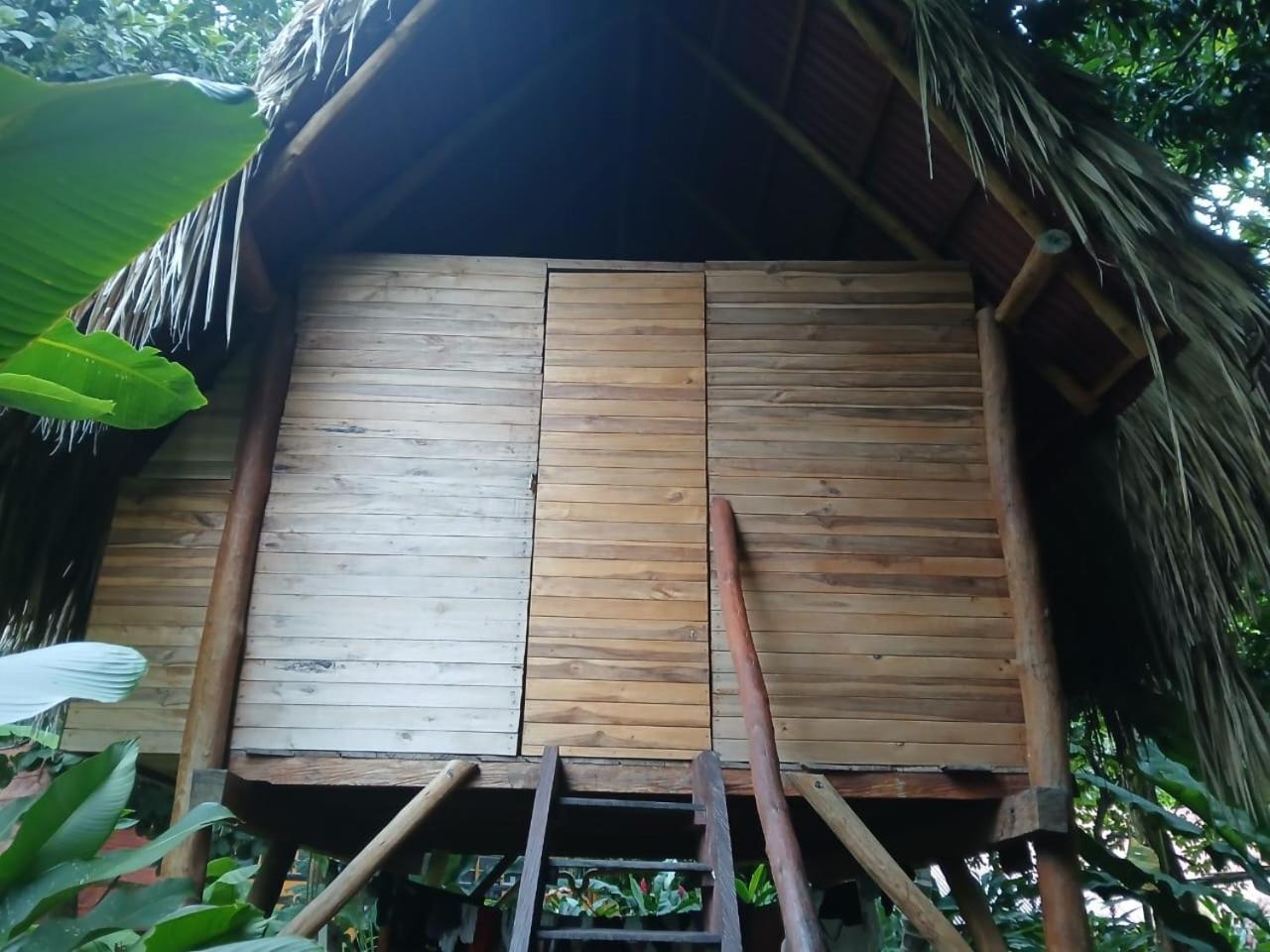 La Playita Vandrehjem Guachaca Eksteriør billede